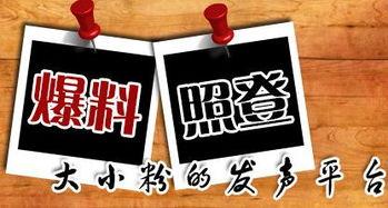 锁味爆料新闻,娱乐圈最新爆料事件深度解析