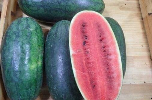 缅甸网红吃瓜黑料,吃瓜黑料背后的真相与反思