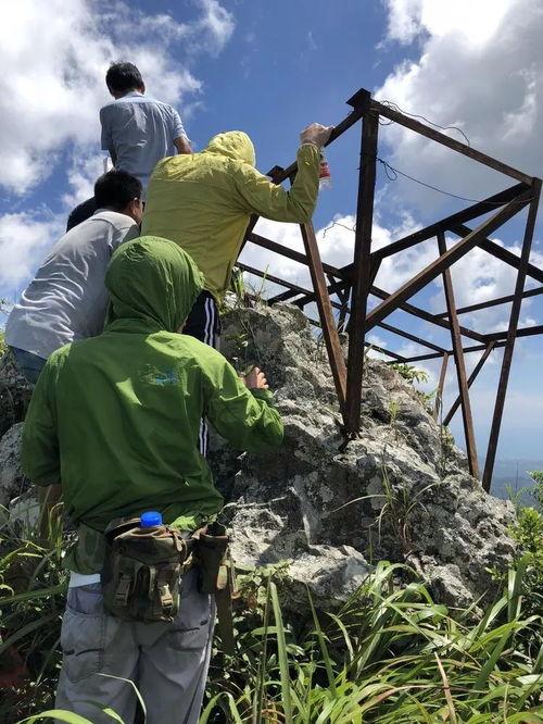 翻山越岭爆料新闻视频下载,新闻视频下载背后的故事